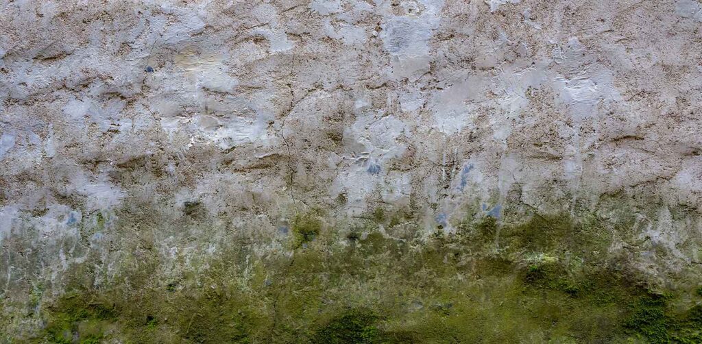 Schimmelbefall an einer Hauswand