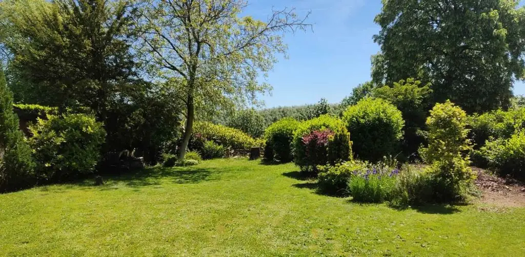 Projekt Garten